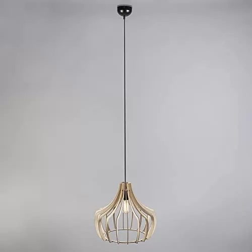 Ragno Pendant Hanging