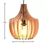 Ragno Pendant Hanging Light